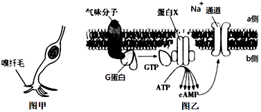 菁優(yōu)網