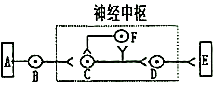 菁優(yōu)網(wǎng)