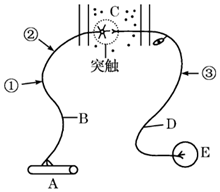 菁優(yōu)網(wǎng)