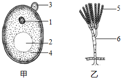 菁優(yōu)網(wǎng)