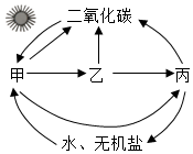 菁優(yōu)網(wǎng)