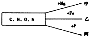 菁優(yōu)網(wǎng)