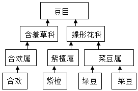 菁優(yōu)網