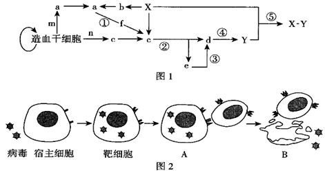 菁優(yōu)網