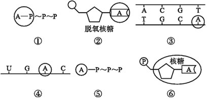 菁優(yōu)網