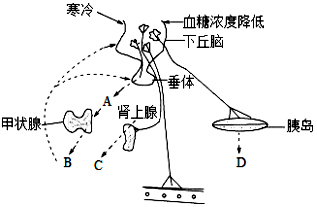 菁優(yōu)網(wǎng)