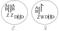 菁優(yōu)網