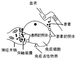 菁優(yōu)網(wǎng)