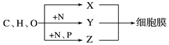 菁優(yōu)網(wǎng)