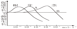 菁優(yōu)網