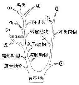 菁優(yōu)網(wǎng)