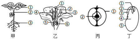 菁優(yōu)網