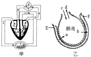 菁優(yōu)網(wǎng)