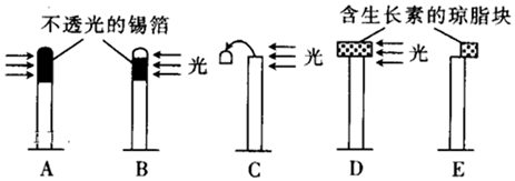 菁優(yōu)網(wǎng)