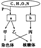 菁優(yōu)網(wǎng)