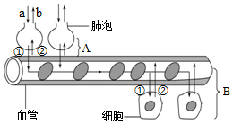 菁優(yōu)網(wǎng)