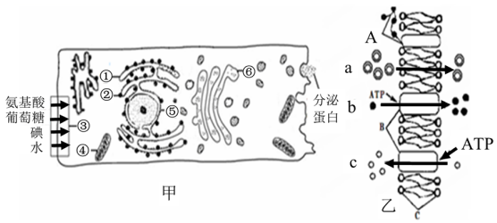 菁優(yōu)網(wǎng)