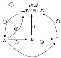 菁優(yōu)網(wǎng)