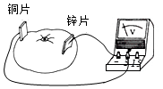 菁優(yōu)網(wǎng)