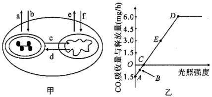 菁優(yōu)網(wǎng)