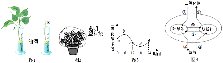 菁優(yōu)網(wǎng)