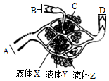 菁優(yōu)網(wǎng)