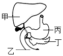 菁優(yōu)網(wǎng)