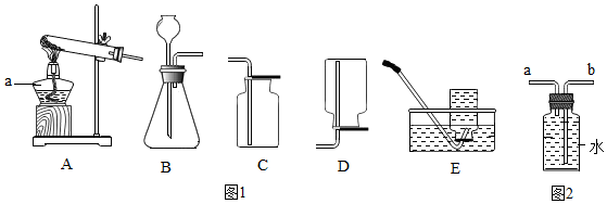 菁優(yōu)網