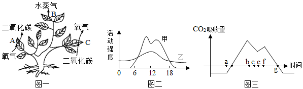 菁優(yōu)網(wǎng)