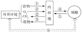 菁優(yōu)網(wǎng)