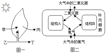 菁優(yōu)網(wǎng)