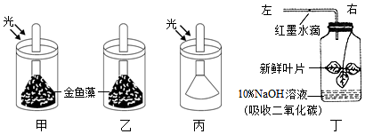 菁優(yōu)網(wǎng)