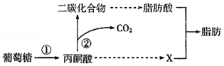 菁優(yōu)網(wǎng)