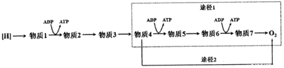 菁優(yōu)網(wǎng)