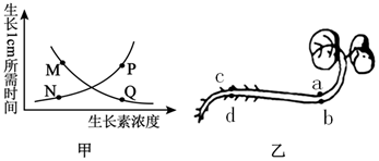 菁優(yōu)網(wǎng)