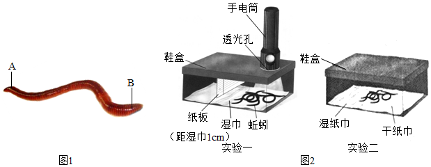 菁優(yōu)網