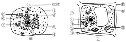 菁優(yōu)網(wǎng)