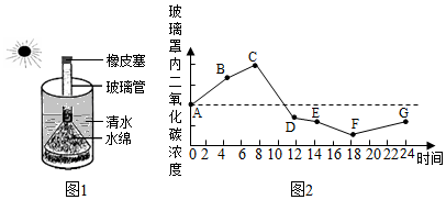 菁優(yōu)網(wǎng)