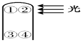 菁優(yōu)網(wǎng)