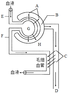 菁優(yōu)網