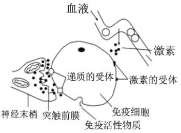 菁優(yōu)網