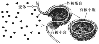 菁優(yōu)網(wǎng)