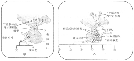 菁優(yōu)網