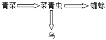 菁優(yōu)網(wǎng)