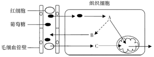 菁優(yōu)網(wǎng)