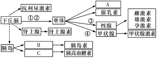 菁優(yōu)網(wǎng)