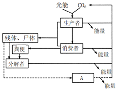 菁優(yōu)網(wǎng)