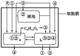 菁優(yōu)網(wǎng)