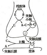 菁優(yōu)網(wǎng)