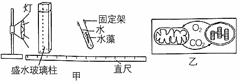 菁優(yōu)網(wǎng)